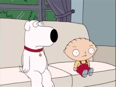 family guy meme gif|Family Guy Meme GIFs